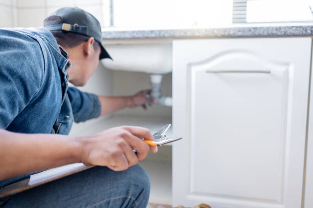 Best 24-Hour Plumber Near Me  in Cobden, IL