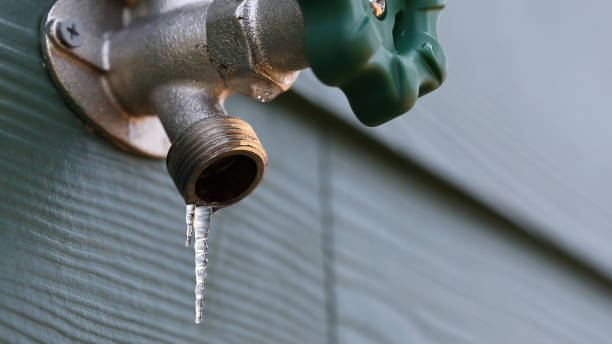 Best Best Plumbers Near Me  in Cobden, IL