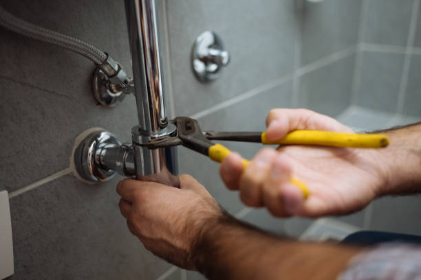 Best Plumbing Services Near Me  in Cobden, IL